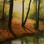 Twickelervaart bij avondzon