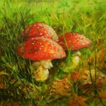 3 paddenstoelen