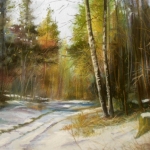 Winter op de Lonnekerberg