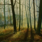 Ochtend op de Lonnekerberg