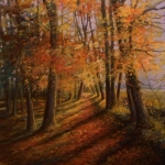 Herfst op landgoed Het Stroot