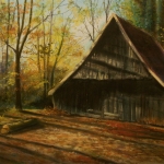 Schuur op Ledeboerpark