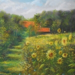 Zonnebloemen bij de Oldenhof