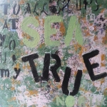 To all ships at sea: my true north