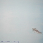 Almost like a feather in a teacup