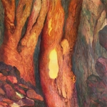 Bomen oprijzend tussen rotsen 