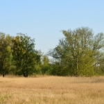 Landschap