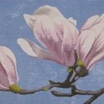 Magnolia