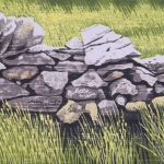 Muurtje in de natuur in Noord-Wales