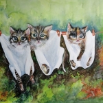 Kittens aan de waslijn