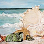 Zeegezicht met schelpen