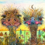 Struisvogel 4