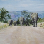 Voetgangers in het Krugerpark