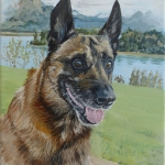 Portret hond 2