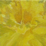 Daffodil - mini