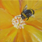 Yellow flowerheart - Mini