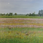 Het Fryske Gea