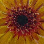 Dahlia - mini