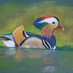 Kleurrijke Eend