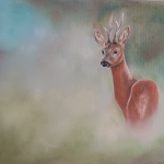 Ree in het wild