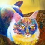 Makar de kat (opdracht)