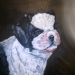 hondje beau (opdracht)