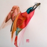 tropische vogel met insect