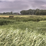 Polder de Slaag