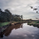 De Drentsche Aa bij Midlaren