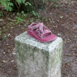 Soest