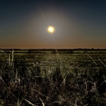 Polder bij zonsverduistering