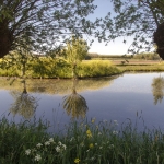 Achterkade bij Vianen