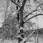 Fotografie Landschap