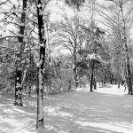 Fotografie Landschap