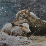 Vrede en verdraagzaamheid