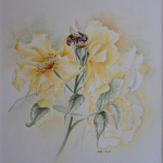 Gele roos met Hommel