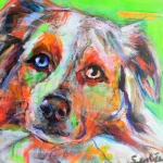 Hond, portret Australische Herder, hondenschilderij