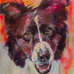 Hond, portret Border Collie, hondenschilderij