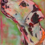 Hond, portret Dalmatiër, hondenschilderij