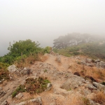Point de Behit