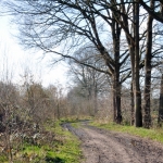 Steenfabriek