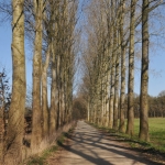 Watermolen brug