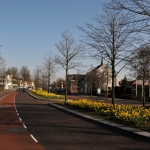 Nieuwstraat