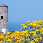 Toren Cap Frehel