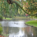 Park laan