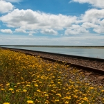 Faro spoor 1