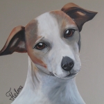 portret hond