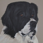 portret hond