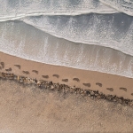 Voetstappen in het zand
