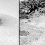 Twigs on ice and tree shadow